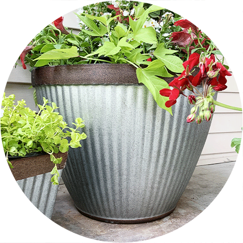 A gray plastic galvanized planter.